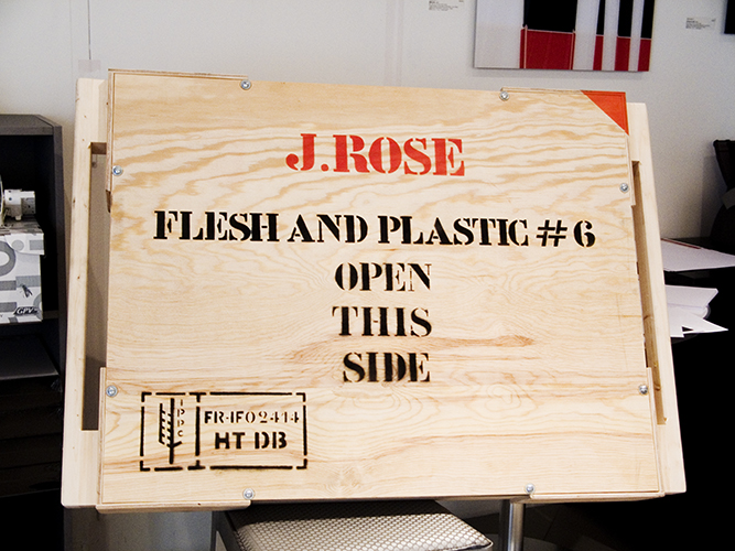 Flesh&Plastic©JulianneRose