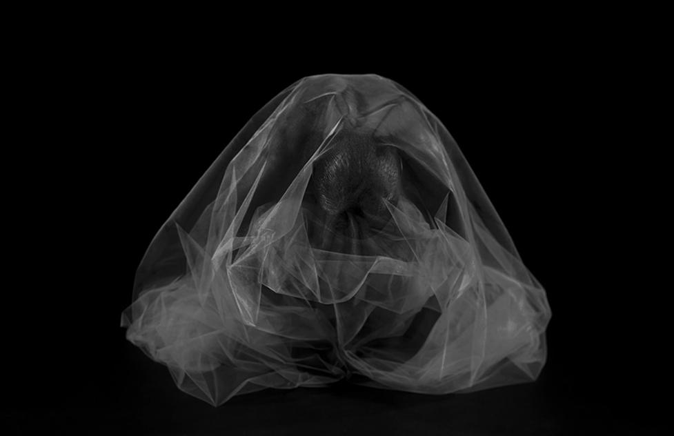 Black & white nude photograph entitled VENUS#10 by artist JulianneRose