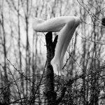 Black and white image of mannequin legs on a tree in the forest. Untitled#01 from the project "The Nature of all Things" 2024