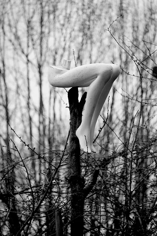 Black and white image of mannequin legs on a tree in the forest. Untitled#01 from the project "The Nature of all Things" 2024